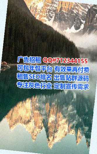 固始借腹生子安防工作室